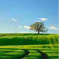 节​点‌稳​定﻿器‍怎‍么﻿做​